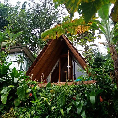 Bed and breakfast ECO Bedugul adventurer camp