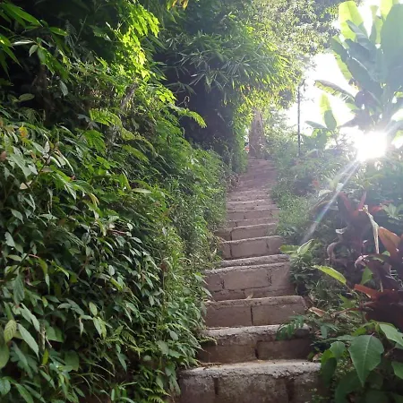 Bedugul Backpackers Camp
