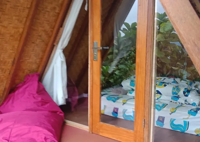 Eco Adventurer Camp