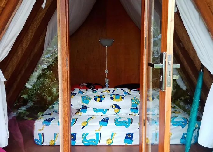 Eco Adventurer Camp 2*