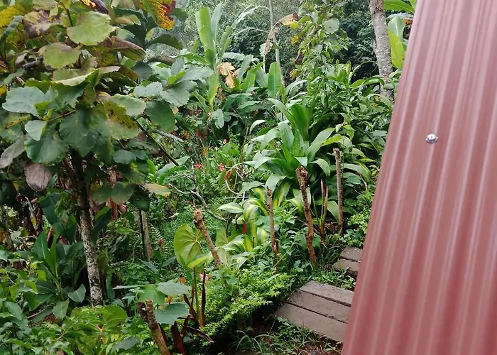 Eco Adventurer Camp Couette-café Bedugul (Bali)