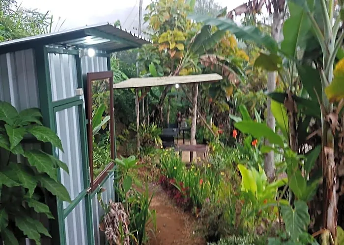 Eco Adventurer Camp