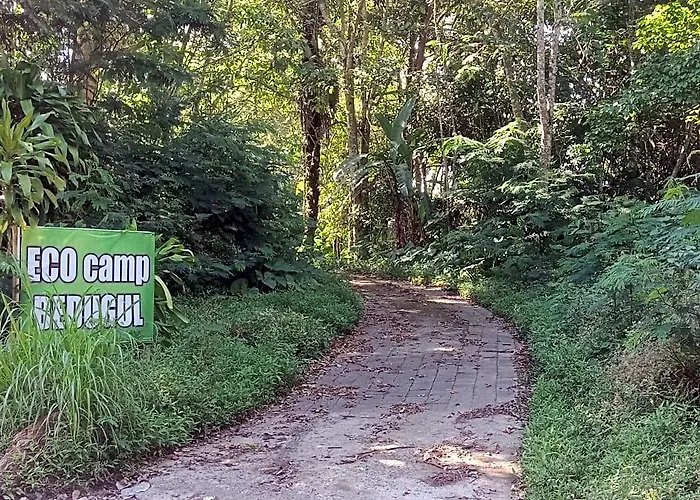 Eco Adventurer Camp ベッド・アンド・ブレックファスト 2*